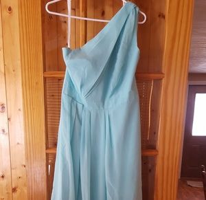 David's Bridal Long One Shoulder Crinkle Chiffon